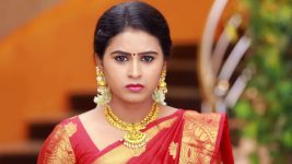 Raja Rani S01E508 Vinodhini's Matchmaking Full Episode