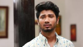 Raja Rani S01E517 Harish's Request to His Parents Full Episode