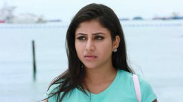 Raja Rani S01E527 Archana Challenges Semba Full Episode