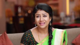 Raja Rani S01E534 The Family Questions Semba Full Episode