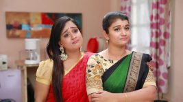 Raja Rani S01E535 Archana, Vadivu Taunt Semba Full Episode