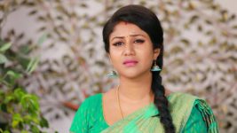 Raja Rani S01E551 Semba Is Distressed Full Episode