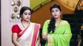 Raja Rani S01E77 Archana, Vadivu's Evil Intentions Full Episode