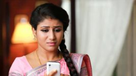 Raja Rani S01E89 A Mobile Phone for Sembaruthi Full Episode