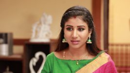 Raja Rani S02E128 Sandhya Has an Idea Full Episode