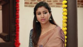 Raja Rani S02E141 Sandhya Gets Insulted Full Episode