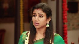 Raja Rani S02E143 Sandhya Gets an Earful Full Episode