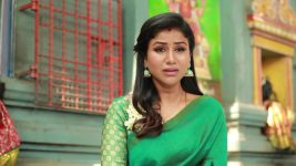 Raja Rani S02E144 Sandhya Breaks Down Full Episode