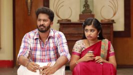 Raja Rani S02E171 Archana, Senthil Feel Guilty Full Episode