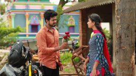 Raja Rani S02E174 Balamurugan Proposes to Parvathy Full Episode