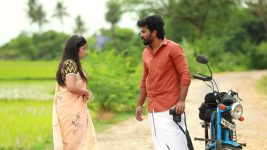 Raja Rani S02E179 Saravanan Confronts Archana Full Episode