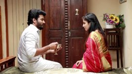 Raja Rani S02E186 Sandhya, Saravanan's Happy Times Full Episode