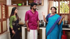 Raja Rani S02E188 Happy News for Sivagami Full Episode