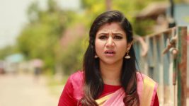 Raja Rani S02E210 Sandhya Gets Doubtful Full Episode