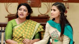 Raja Rani S02E220 Sivagami Gives Her Consent Full Episode