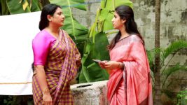 Raja Rani S02E221 Sivagami Comforts Sandhya Full Episode