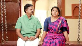 Raja Rani S02E227 Sivagami Shares Her Worry Full Episode