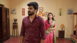 Raja Rani S02E235 Saravana Files for Divorce Full Episode