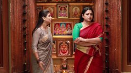 Raja Rani S02E244 Sandhya Talks to Sivagami Full Episode