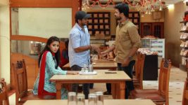 Raja Rani S02E250 Parvathy in for a Shock Full Episode