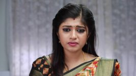 Raja Rani S02E252 Archana Cautions Priya Full Episode