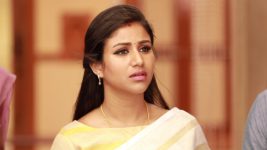 Raja Rani S02E253 Sandhya Is Blamed Full Episode