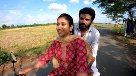 Raja Rani S02E257 Sandhya Tutors Saravanan Full Episode