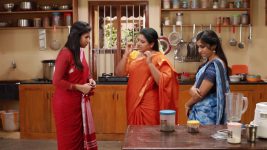 Raja Rani S02E263 Sandhya Faces Sivagami's Wrath Full Episode