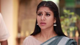 Raja Rani S02E269 Will Sandhya Succeed? Full Episode