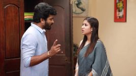 Raja Rani S02E272 Sandhya Decides to Tag Along Full Episode