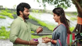 Raja Rani S02E283 Sandhya Surprises Saravanan Full Episode