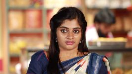 Raja Rani S02E294 Is Archana in Trouble? Full Episode