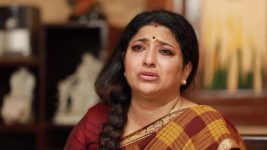 Raja Rani S02E299 Sivagami Feels Let Down Full Episode