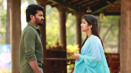 Raja Rani S02E310 Sandhya Requests Saravanan Full Episode