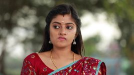 Raja Rani S02E325 Archana's Wicked Intentions Full Episode