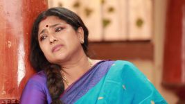 Raja Rani S02E331 Sivagami Gets Upset Full Episode