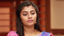 Raja Rani S02E346 Archana's Plan Succeeds Full Episode