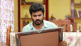 Raja Rani S02E350 Saravanan Is Shocked Full Episode