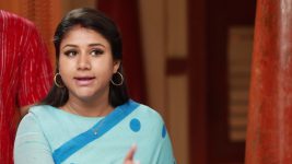 Raja Rani S02E368 Sandhya Shocks Everyone Full Episode