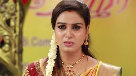 Raja Rani S02E397 Aarchana In Trouble Full Episode