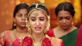 Raja Rani S02E401 Archana Blames Parvathy Full Episode