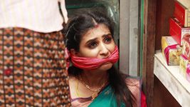 Raja Rani S02E408 Parvathy Gets Kidnapped? Full Episode