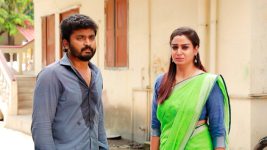 Raja Rani S02E411 Saravanan Feels Devastated Full Episode