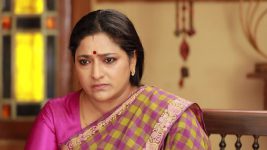 Raja Rani S02E433 Sivagami's Ulterior Motives Full Episode