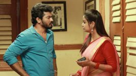 Raja Rani S02E449 Saravanan Learns the Truth Full Episode