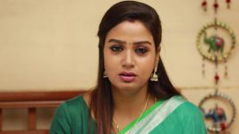 Raja Rani S02E454 Sandhya Feels Tensed Full Episode