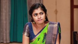 Raja Rani S02E455 Archana's New Strategy Full Episode