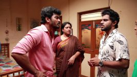 Raja Rani S02E497 Saravanan Is Furious Full Episode