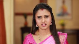 Raja Rani S02E511 Jessi Loses Her Temper Full Episode