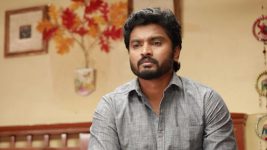 Raja Rani S02E516 Saravanan Is Confused Full Episode